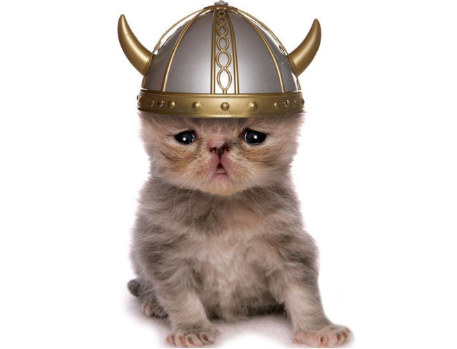 Viking Cat